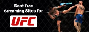 A few most excellent websites in UFC stream in 2022