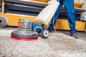 Unlock the Potential Professional Carpet Cleaning Services That Exceed Expectations
