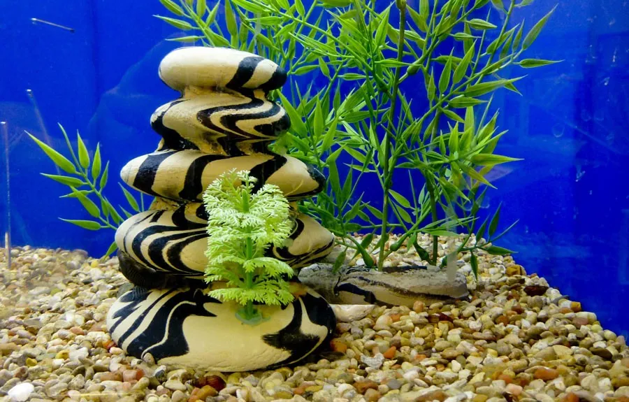 The Ultimate Guide to Keeping Your Fish Tank Sparkling Clean