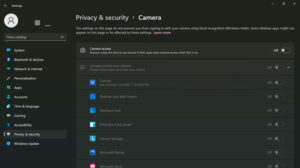Managing Windows 11 Privacy Settings
