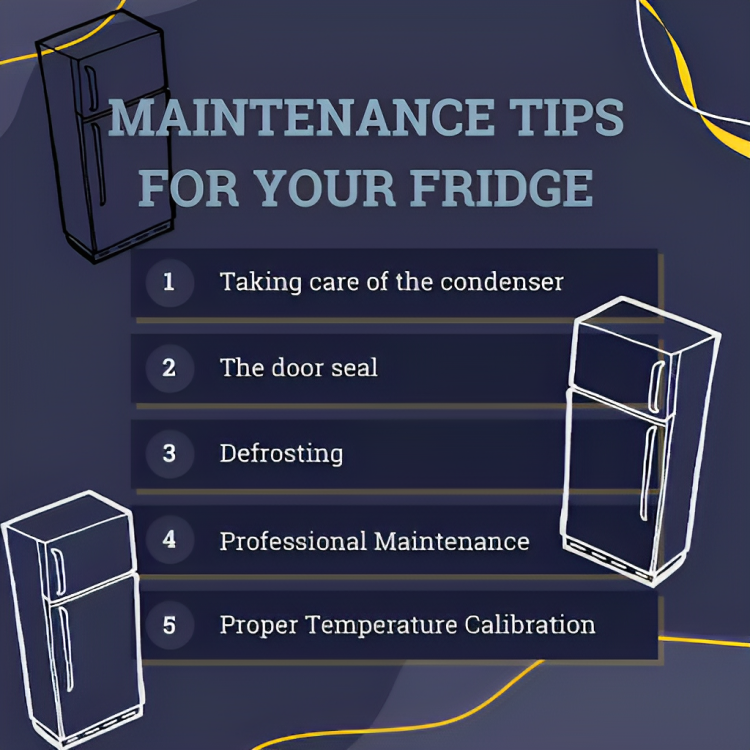 The Complete Guide: Maintenance for Your Fridge