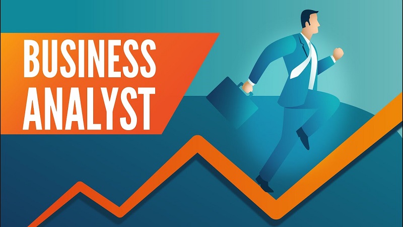 What is the Importance of Business Analyst in a Business?