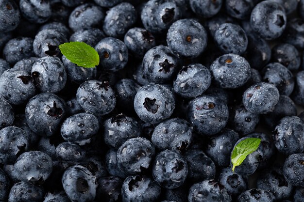 Harnessing the Cancer-Fighting Potential of Blueberry