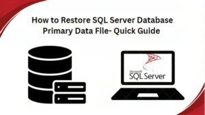 How to Restore SQL Server Database Primary Data File- Quick Guide