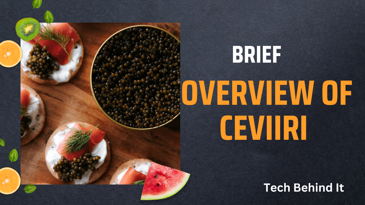Ceviiri: The Culture Behind Turkey’s Raw Meat