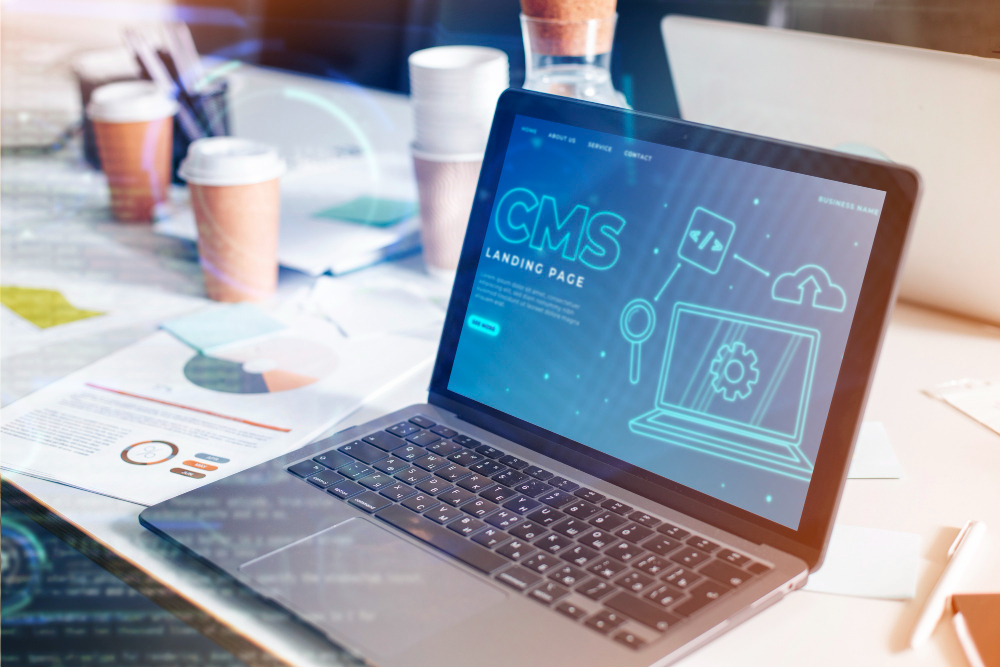 How CMS Platform Can Be Used For Project Management